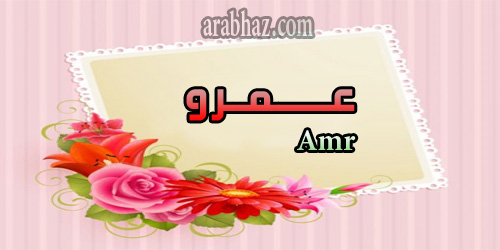 arabhaz- معنى اسم عمرو