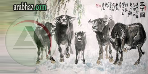 arabhaz-chinese-zodiac-02